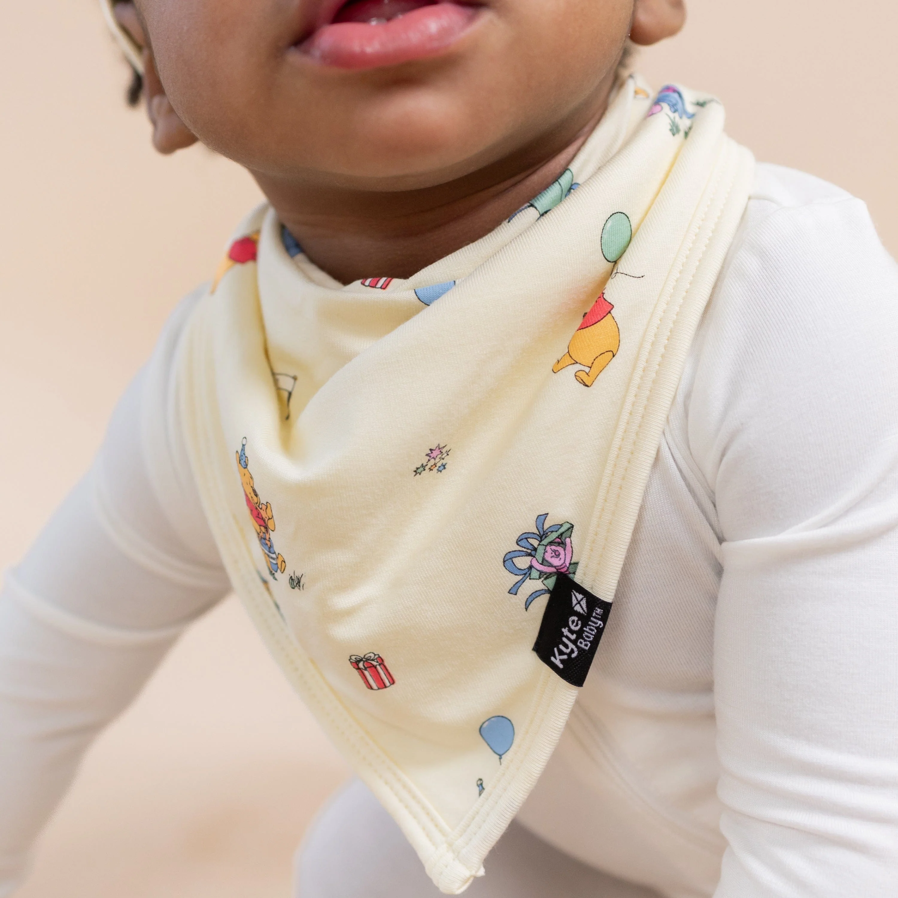 Bib in Winnie the Pooh Celebration - Image 3