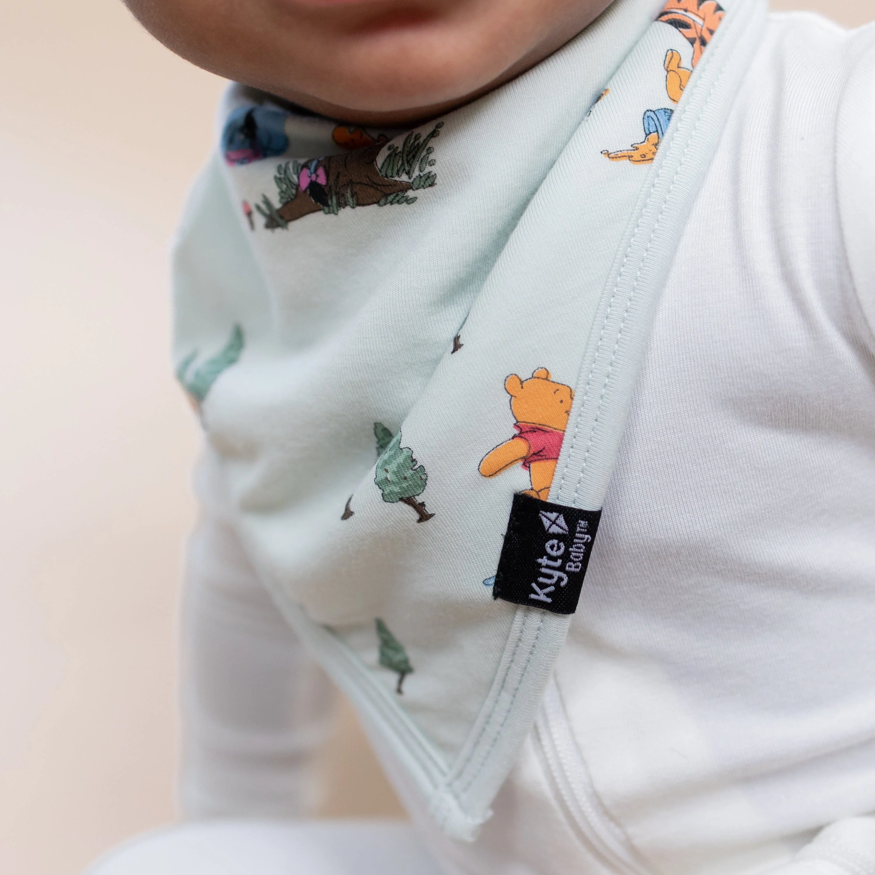Bib in Winnie the Pooh Hundred Acre Wood - Image 3