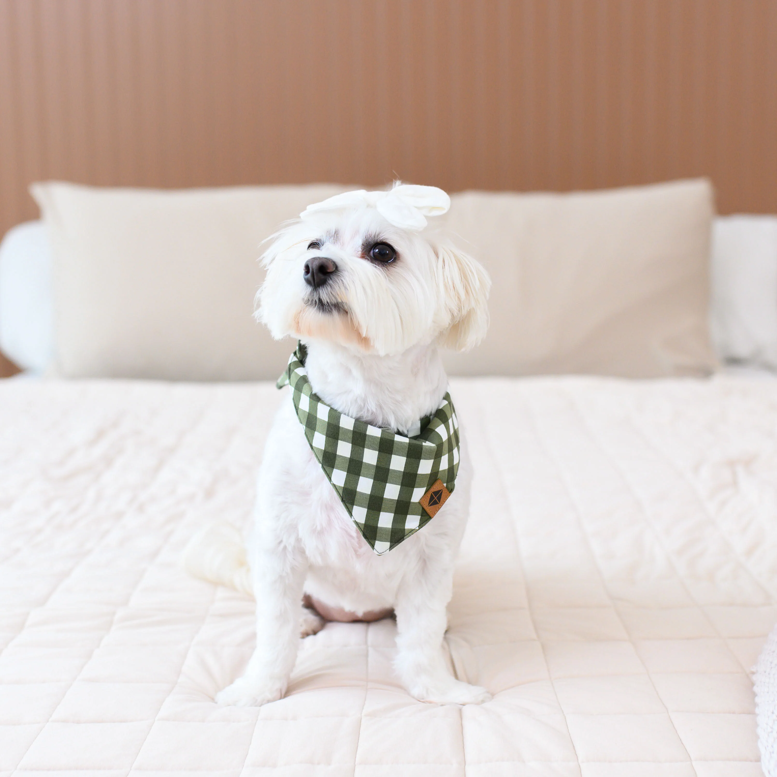 Dog Bandana in Gingham Fir - Image 4