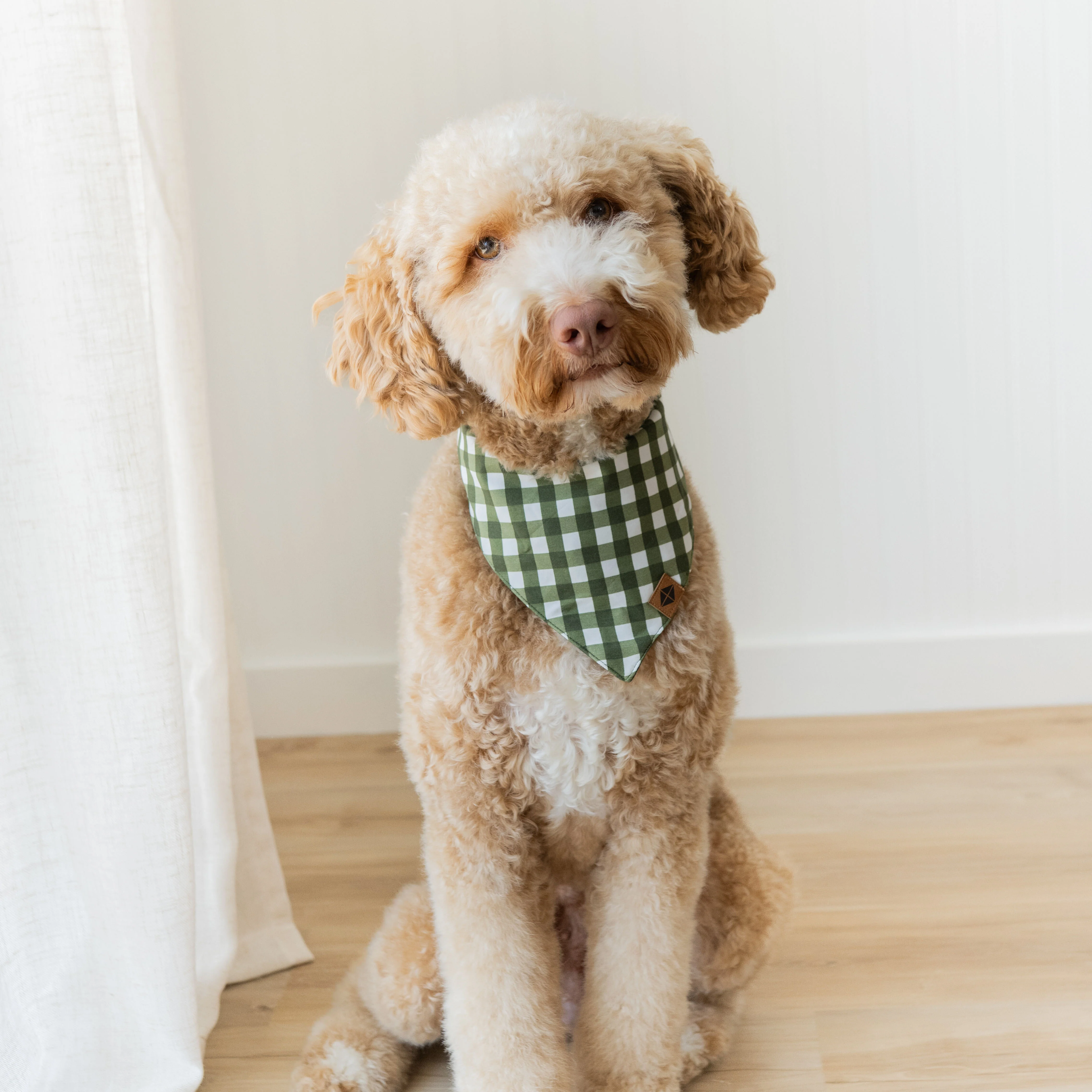Dog Bandana in Gingham Fir - Image 5