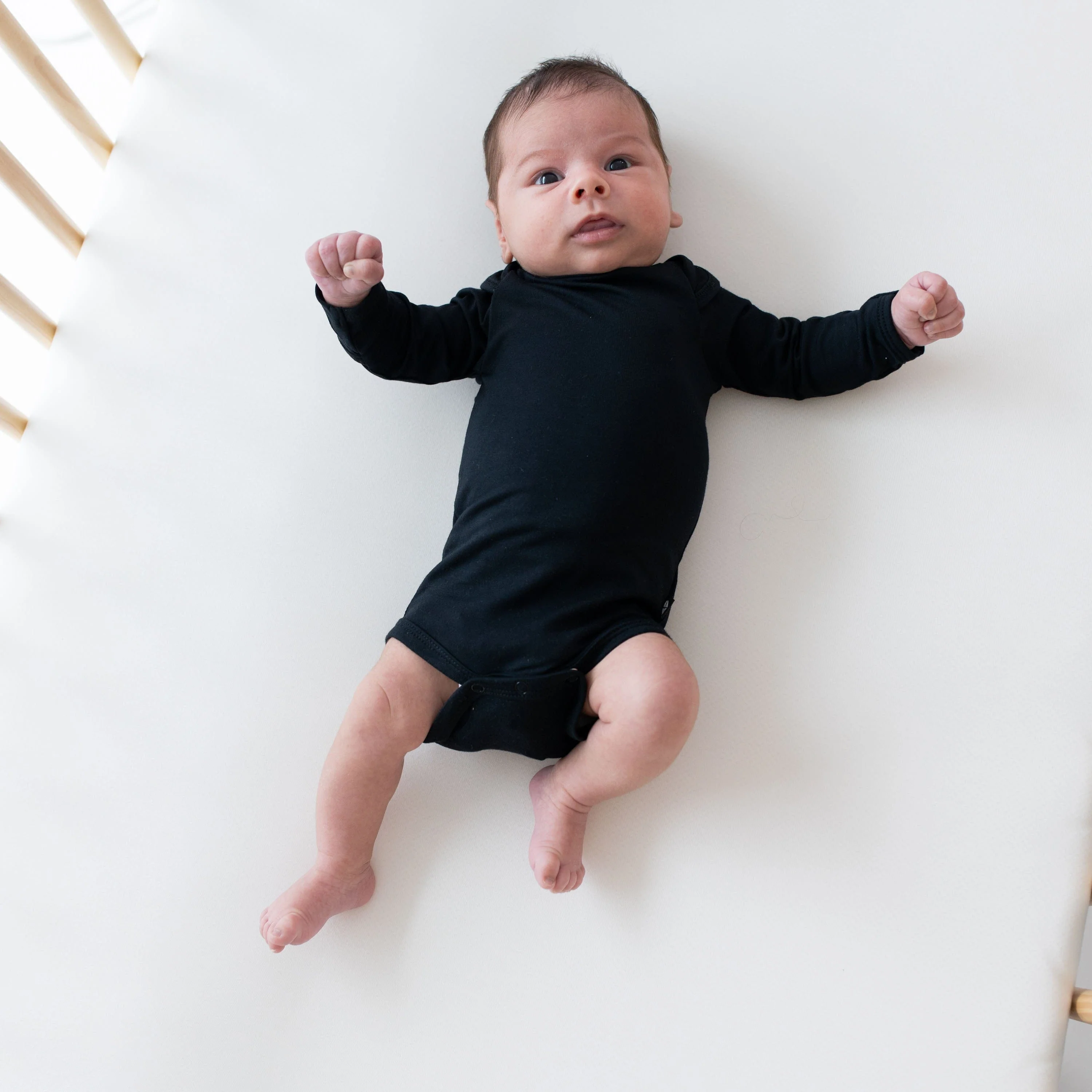 Long Sleeve Bodysuit in Midnight - Image 3
