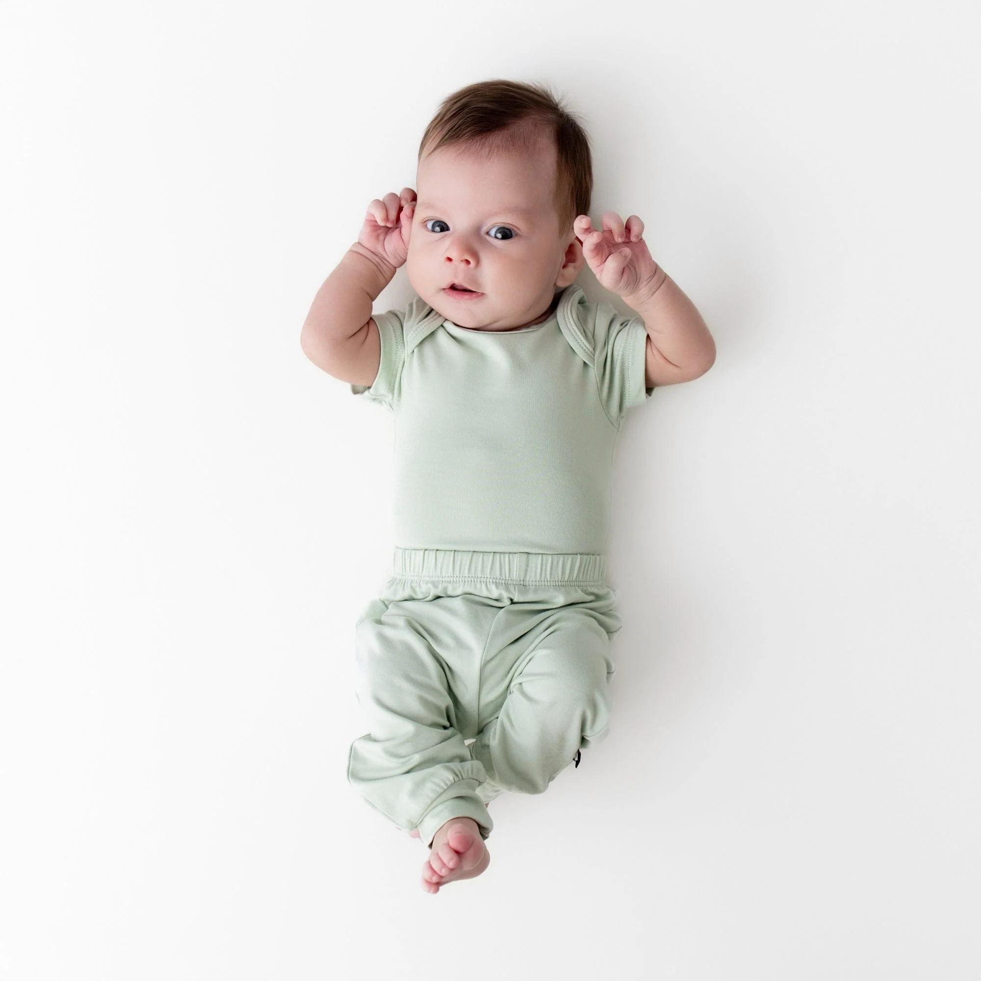Pant in Basil - Image 3