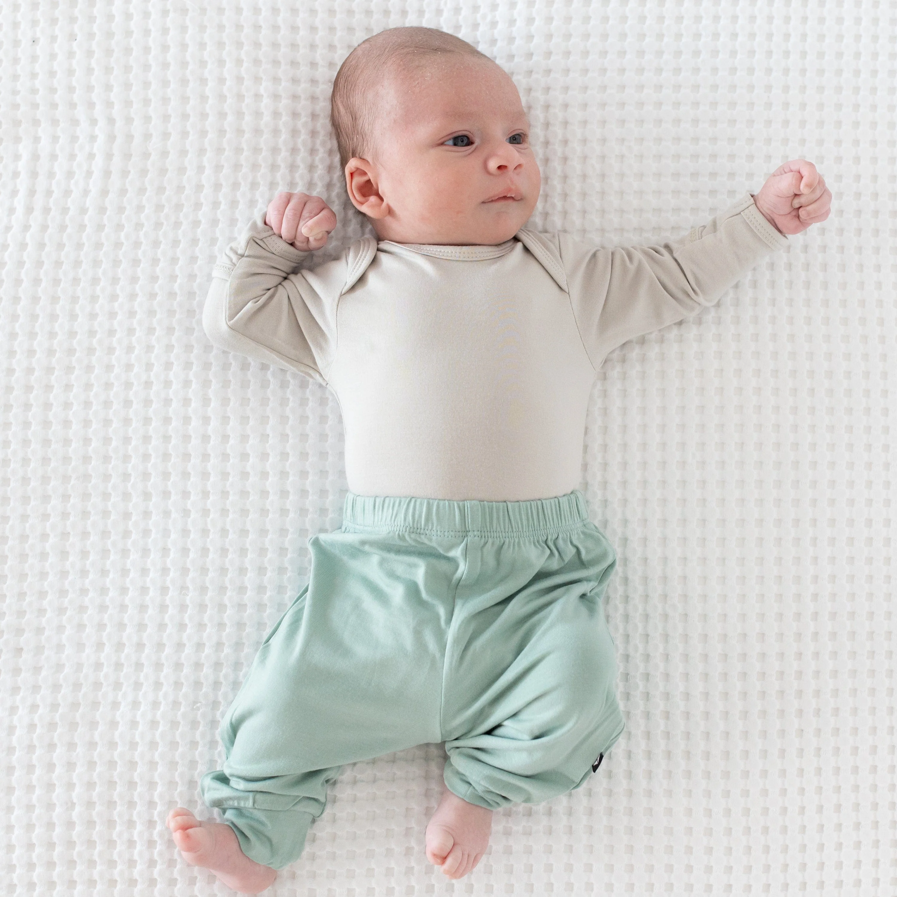 Pant in Sage - Image 3
