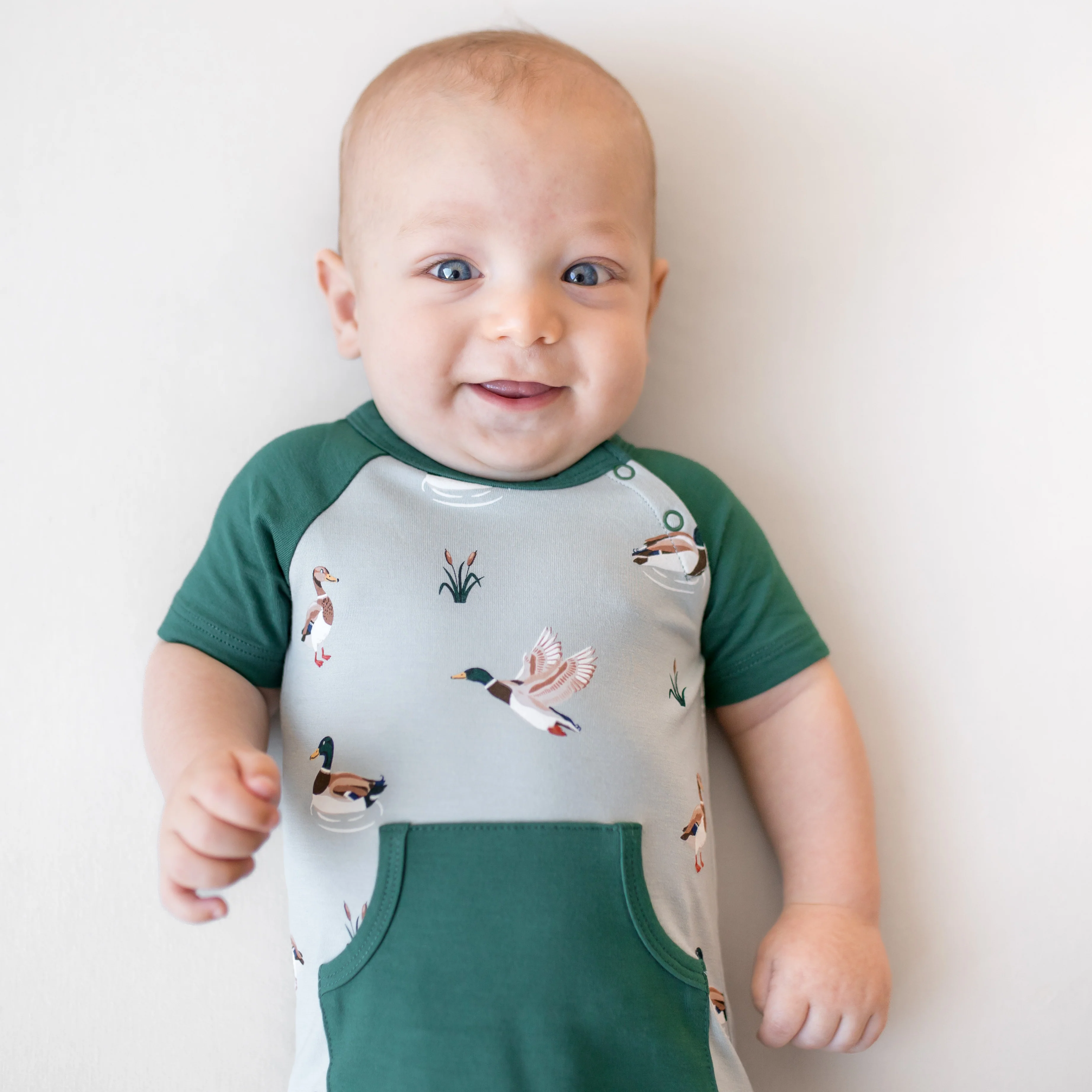 Shortall in Mallard Duck - Image 3