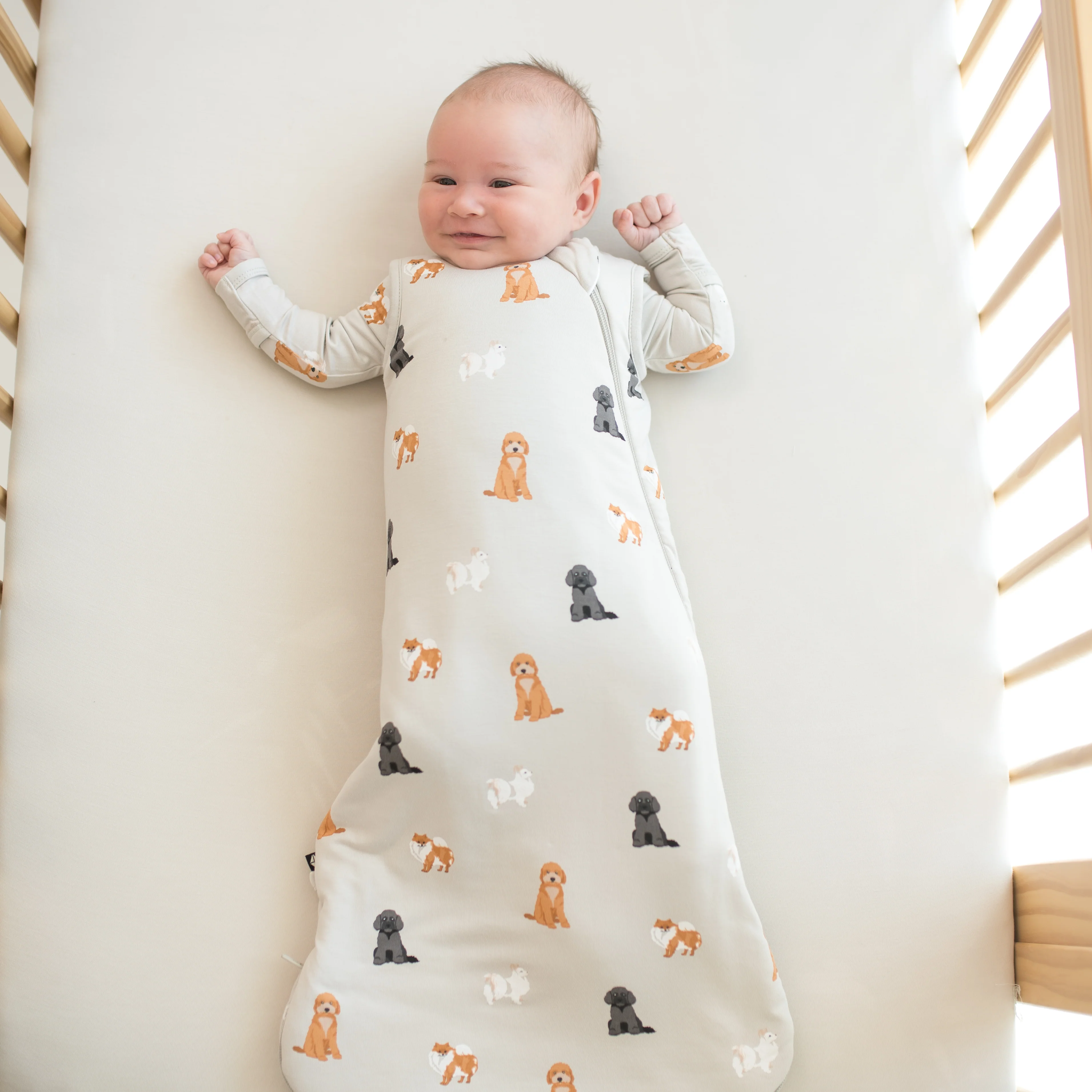 Sleep Bag in Fluffy Dog 1.0 - Image 3