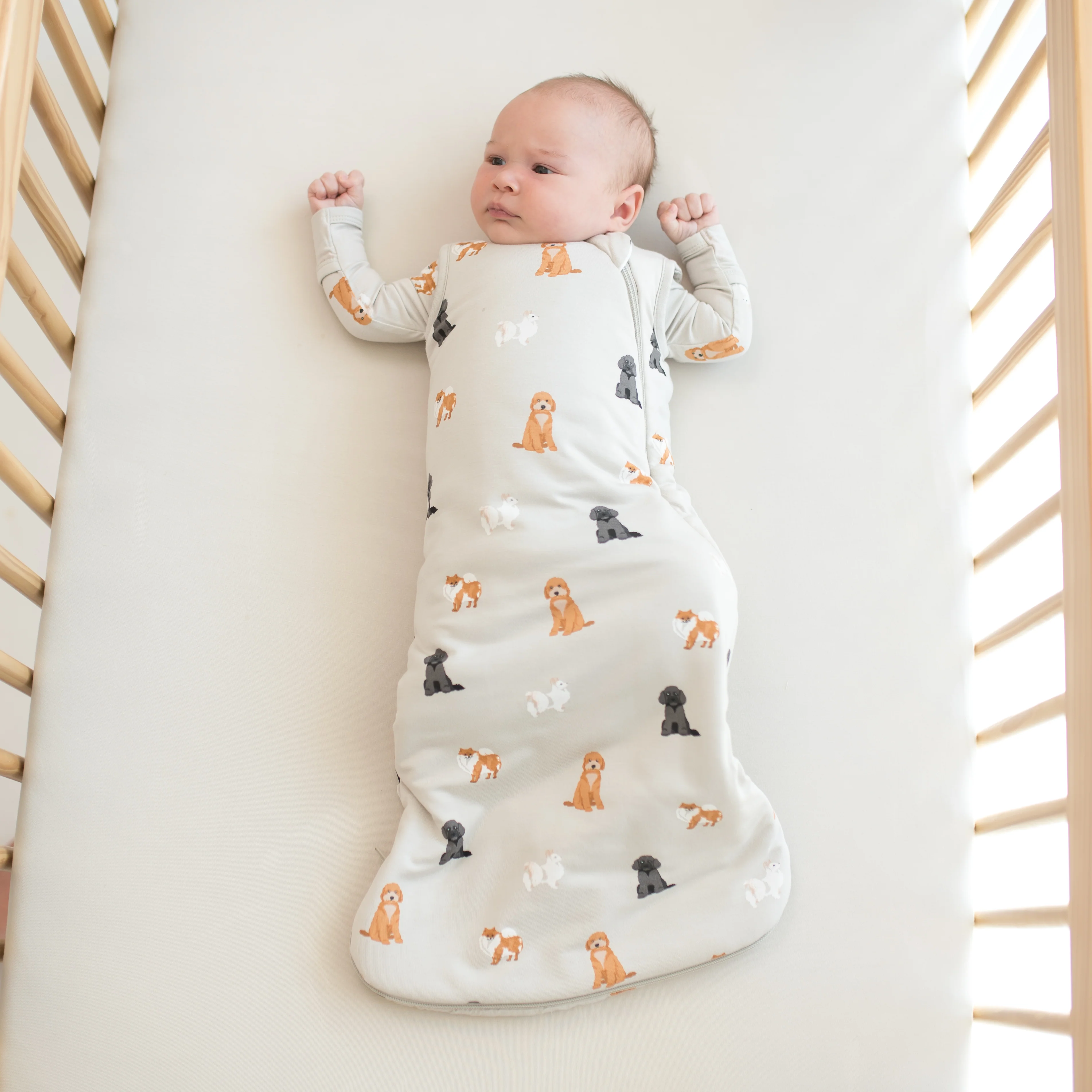 Sleep Bag in Fluffy Dog 1.0 - Image 4