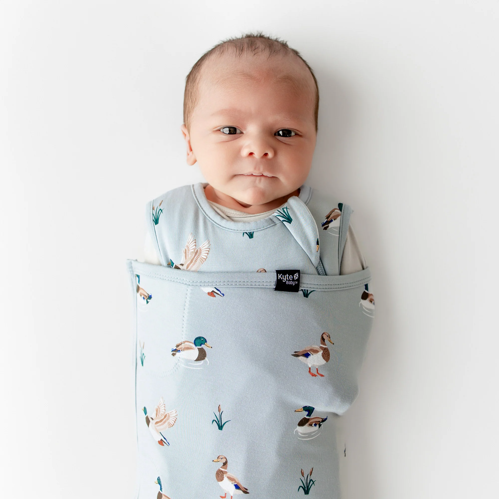 Sleep Bag Swaddler in Mallard Duck 1.0 - Image 3