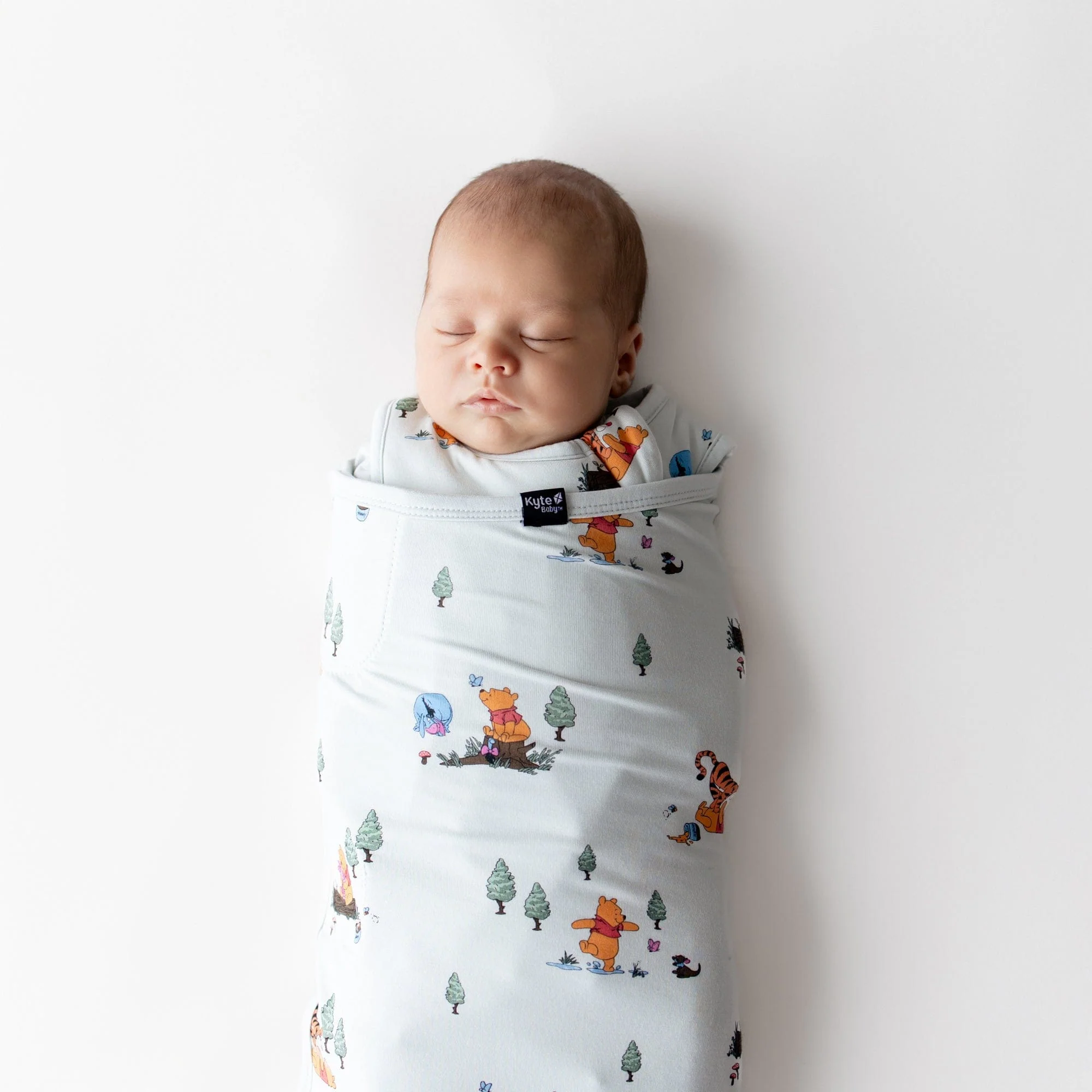 Sleep Bag Swaddler in Winnie the Pooh Hundred Acre Wood 1.0 - Image 3