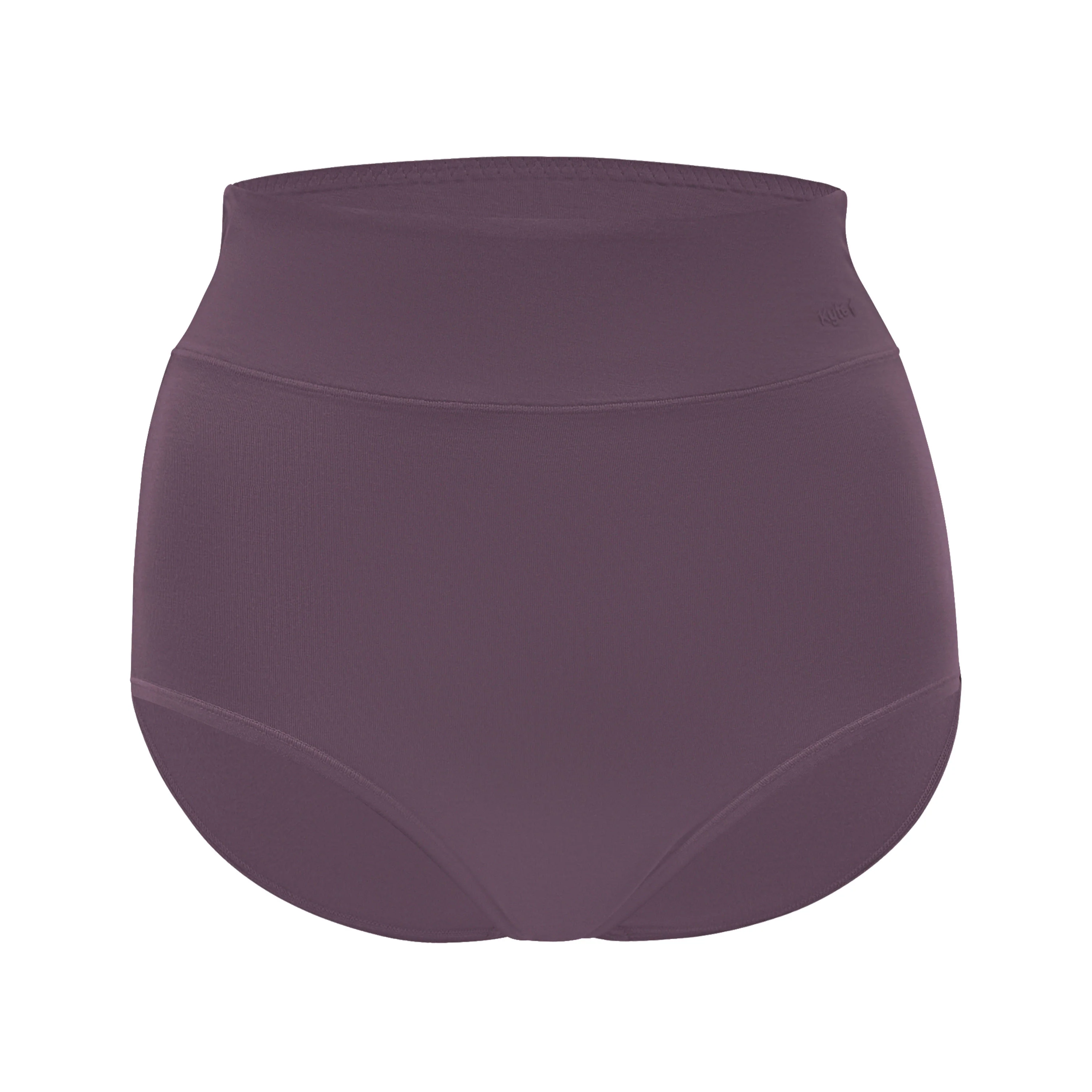 Women's High-Waisted Brief in Currant - Image 2
